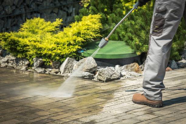 Best Sidewalk and Walkway Cleaning  in Ina, IL