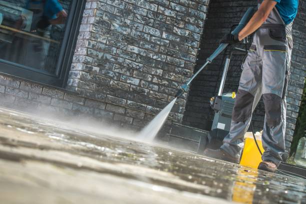 Best Building Exterior Washing  in Ina, IL