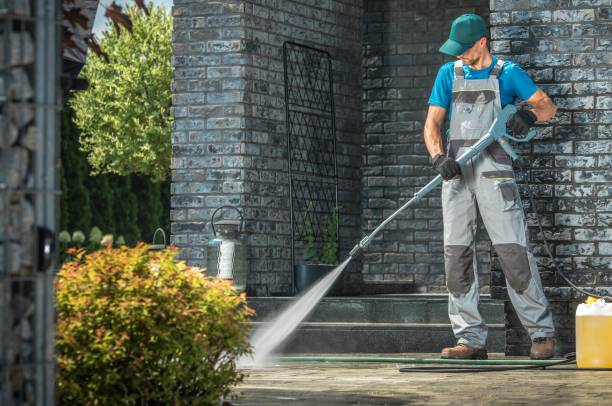 Best Rust Removal  in Ina, IL