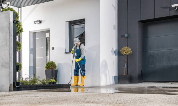 Best Fleet Vehicle Washing  in Ina, IL