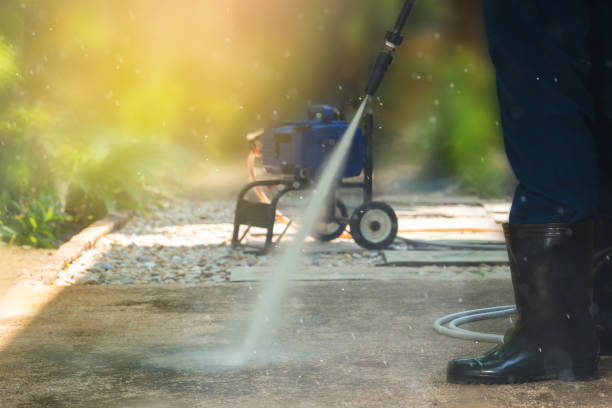 Best Pre-Holiday Cleaning  in Ina, IL